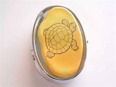 Porte dent de lait tortue 